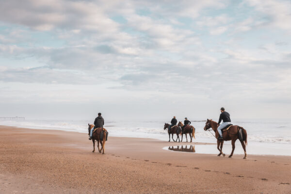 Amelia Island beach Horseback Riding