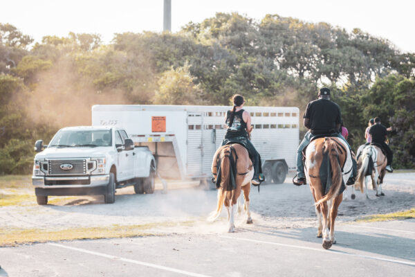 Amelia Island Horseback Riding