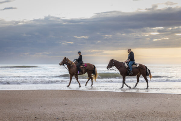 Horseback riding on sand