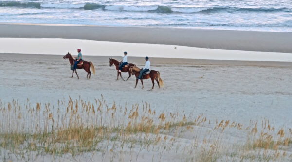 Amelia Island Horseback Riding on the beach