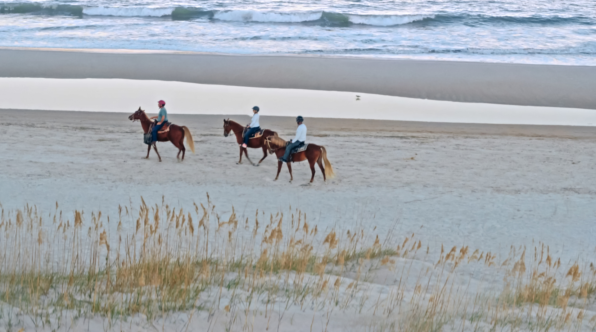 Amelia Island Horseback Riding on the beach