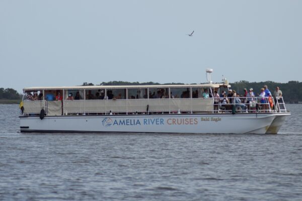 Amelia River Cruises Cumberland Island Boat Tour