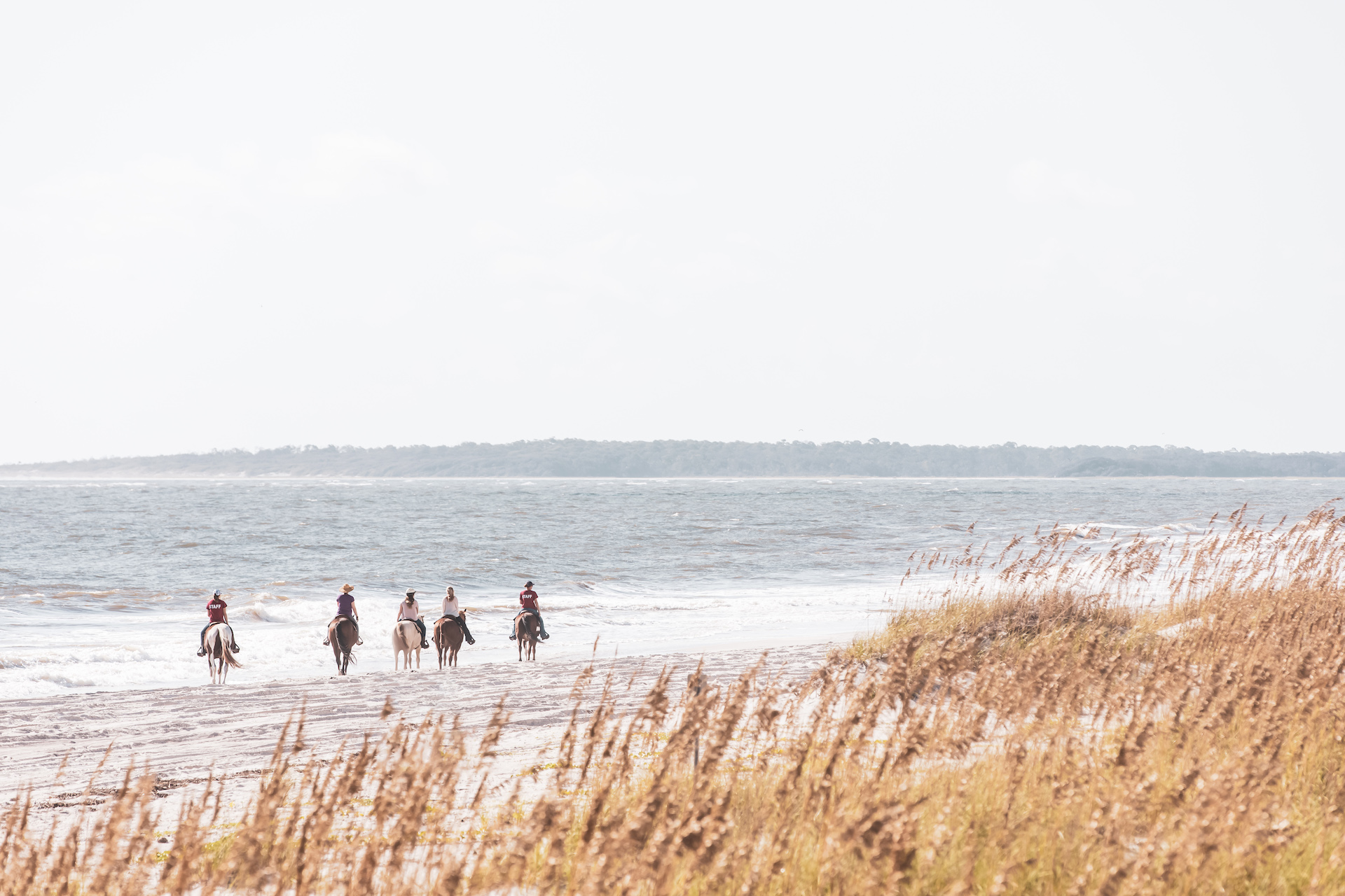 Happy Trails Walking Horses