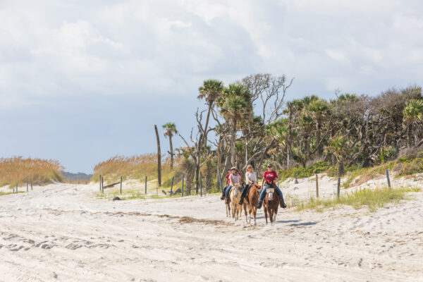 Happy Trails Walking Horses