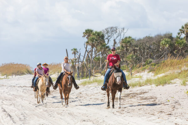 Happy Trails Walking Horses