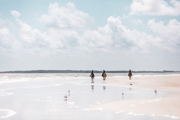 Horseback riding on Amelia Island beach