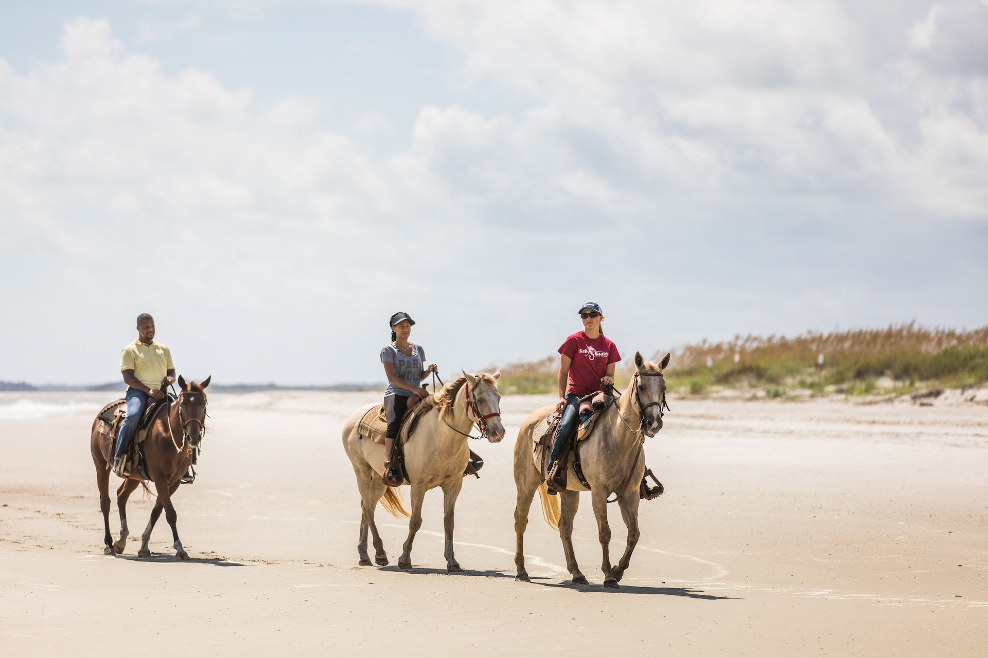 Happy Trails Walking Horses