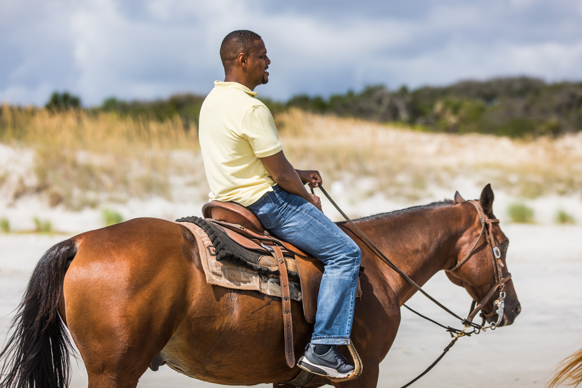 Happy Trails Walking Horses