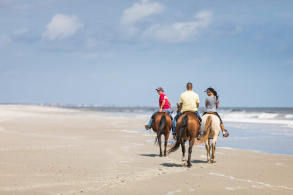Happy Trails Walking Horses