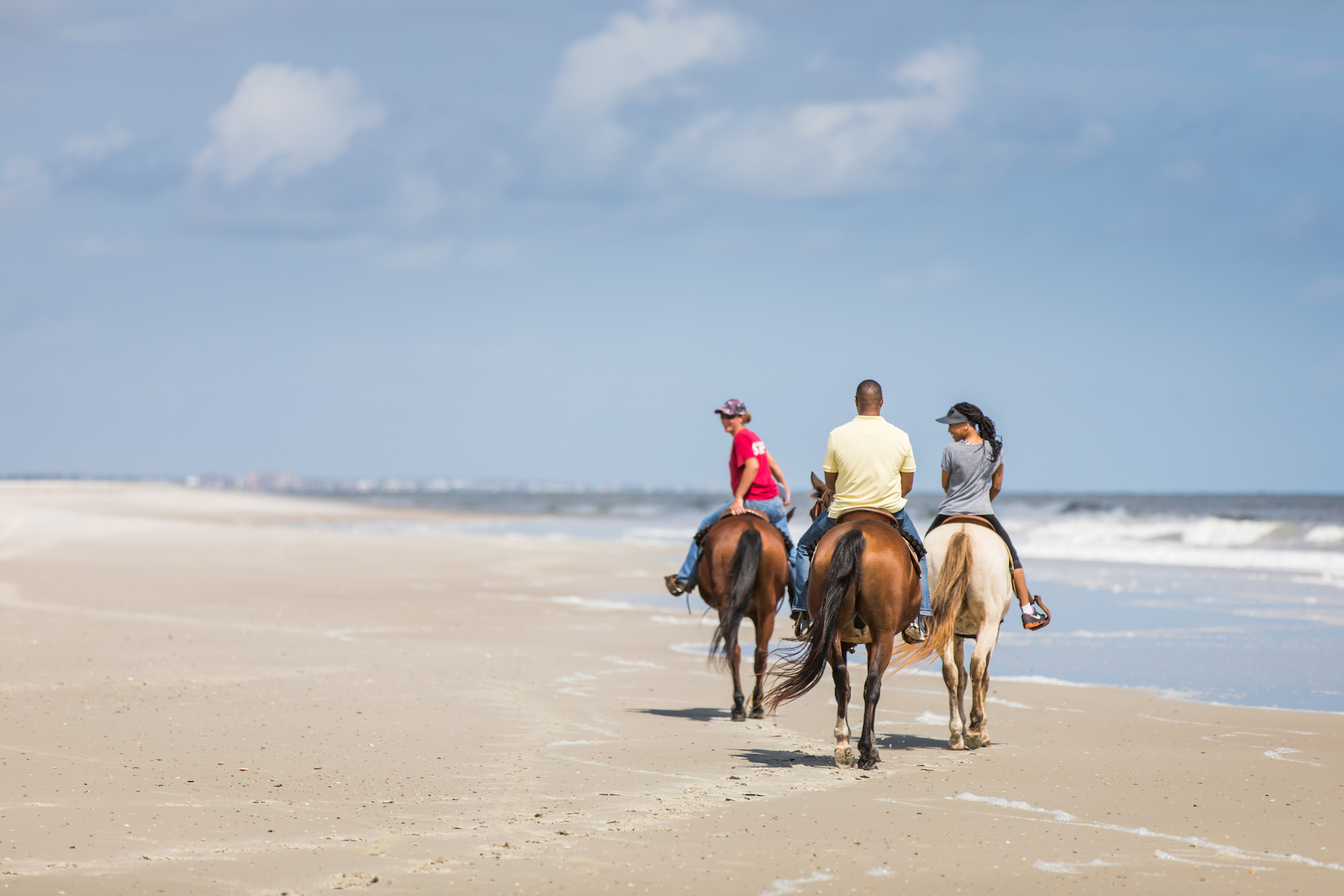 Happy Trails Walking Horses